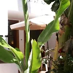 Casa Creativa