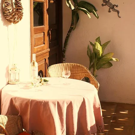 Casa Creativa 别墅