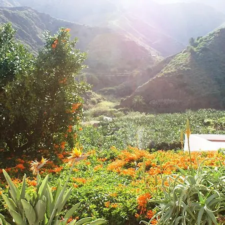 カサ クリアティーバ *