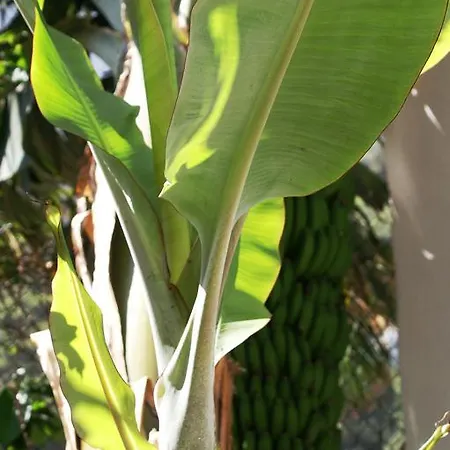 Casa Creativa Hermigua