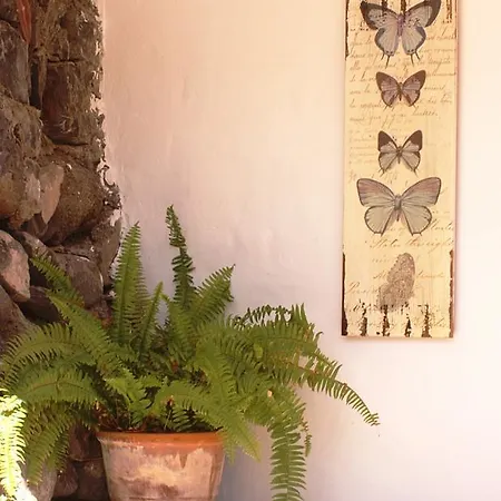 Casa Creativa Villa