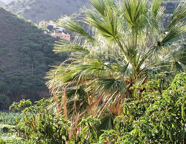 Casa Creativa * Hermigua