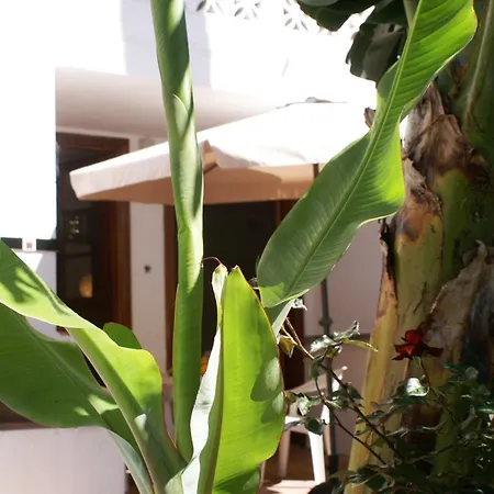 Casa Creativa